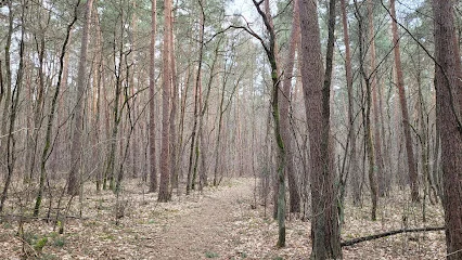 Chojnowski Park Krajobrazowy