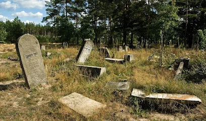 Kirkut w Anielinie (cmentarz żydowski)