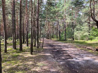 Mazowiecki Park Krajobrazowy im. Czesława Łaszka